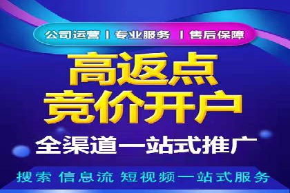 揭秘成功之道：竞价推广公司经典案例分享